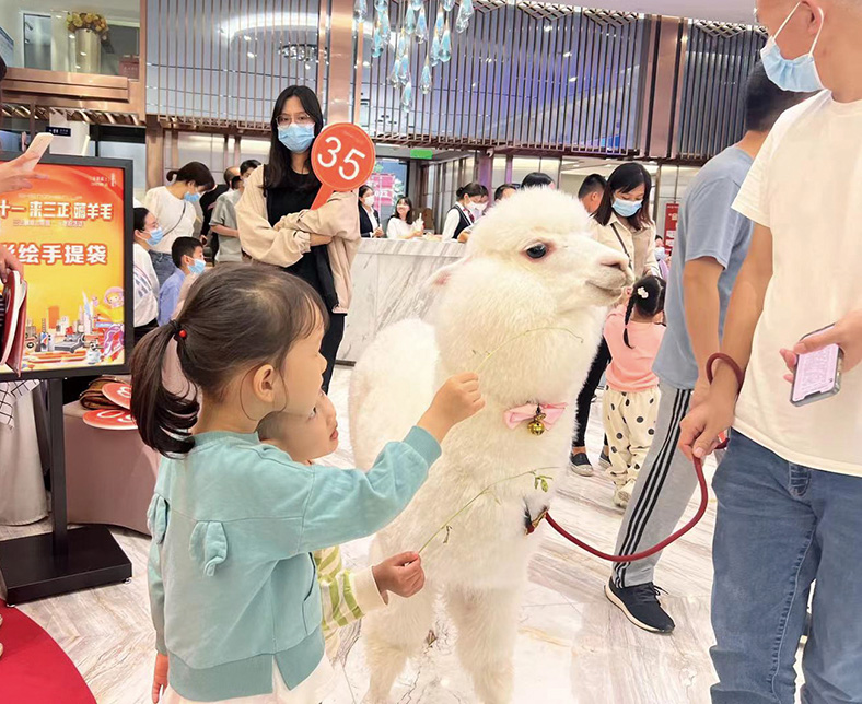 202211291549442027006.jpg 202211291549442027006.jpg