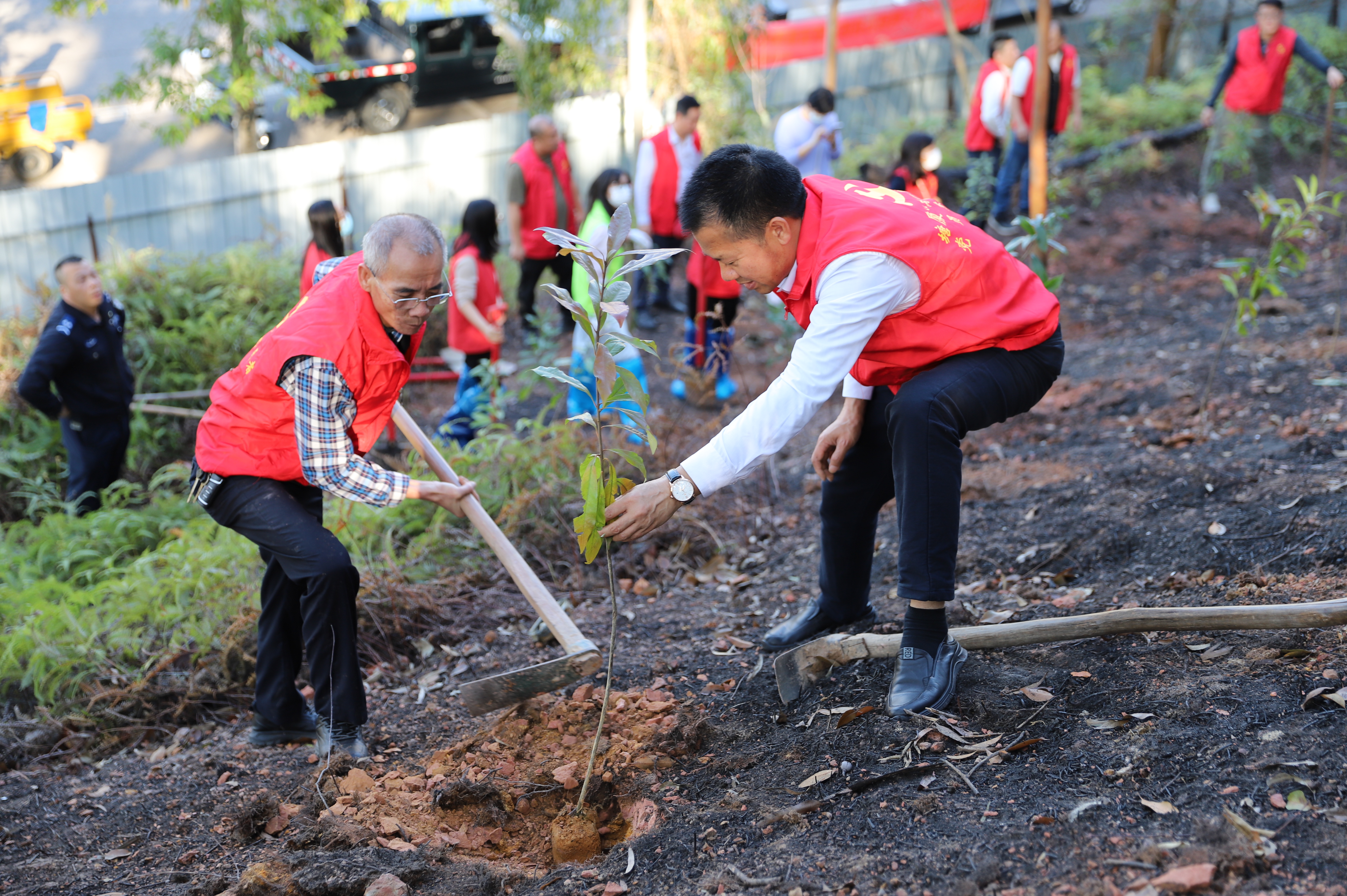 IMG_9929.JPG IMG_9929.JPG